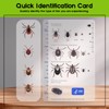 Tick Remover Tool and Tique Identification Card for Dogs Cats