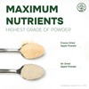 Jungle Powders Organic Apple Powder 5 Ounce Bag Apple Extract