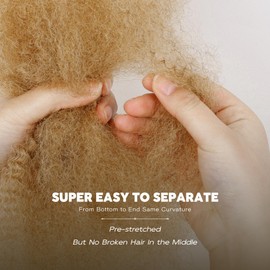 BLL Afro Kinkys Bulk Human Hair 16 Inch 50g/Pack for Mini Twist -100% Real Hair for Braiding, Repair Locs, Dreadlock Extensions, Afro Kinky Curly Bulk Crochet Braids Twists (27#, 16 Inch Pack Of 1)