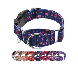 JOOCPUP Martingale Collar for Dogs, Adjustable Soft Nylon Dog Collar with Buckle, Cute Special Design Pet Collar for Small Medium Large Dogs, Blue Flower M