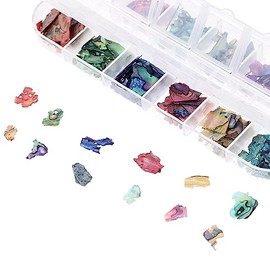 FOMIYES Natural Shell Nail Art Charms Compartment Abalone Decoration for Women Easy to Apply Manicure Supplies for Parties Everyday Use Unique Durable Nail Ornaments