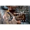 Walfront Clip-on Pickup Guitar Lightweight Portable Microphone Piezo Pickup Command