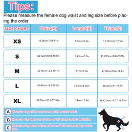 XPCARE 6 Pack Washable Female Dog Diapers - Reusable Doggie Diapers, Highly Absorbent Dog Diapers Female, Leak-Proof Puppy Diapers for Female Dog（XS）