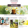 Pranarom Atlas Cedar (BIO), 0.3 fl oz (10 ml), Essential