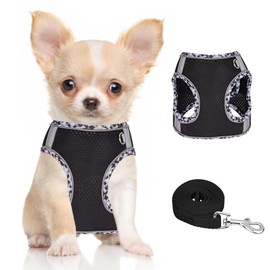 Doggiekit Dog Harness Small Dogs with Lead, Adjustable Reflective Step in Puppy Harness Lead, Breathable Mesh Dog Harness, Soft Padded Vest for Extra Small/Medium Dogs
