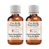 Greenwood Essential Pure Myrtle Essential Oil (Myrtus communis) Steam Distilled
