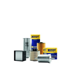 Hengst Fuel Filter - Inline