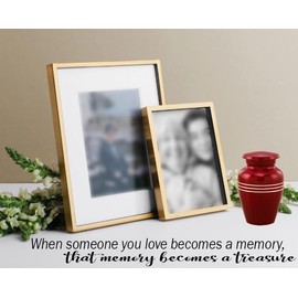 Immortal-Memories Serenity Keepsake Urn for Ashes - Miniature Urns - Mini Jar - Pet Urn -Token Urn with Velvet Bag (Red)