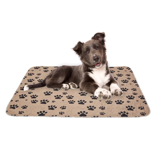 Drylife Reusable Super Absorbent Training Pads for Dogs and Puppies