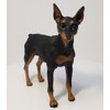 Conversation Concepts Miniature Pinscher Figurine
