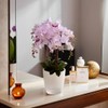 SANTINO Orchid Pot Diameter 12 cm Self-Watering Pot with Wick