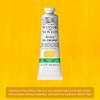 Winsor & Newton Pintura al Óleo 37 ml Yellow Pale