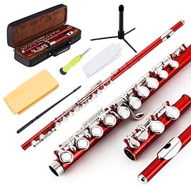 EastRock Closed Hole Flutes C 16 Key for Beginner, Kids, Student -Nickel Flute with Case Stand and Cleaning kit (Red)
