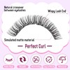WENDY Lash Clusters C Curl Cluster Eyelash Extensions Wipsy Cluster