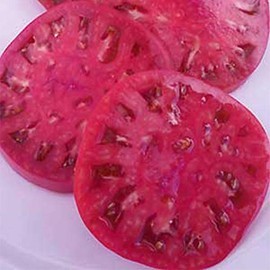 Organic Watermelon Beefsteak Tomato Seeds ~25 Seeds - Organic, Heirloom, Open Pollinated, Non-GMO, Farm & Vegetable Gardening Seeds