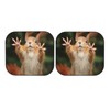 KiuLoam Squirrel Funny Animal Meets Car Windshield Sun Shade, 2-Piece
