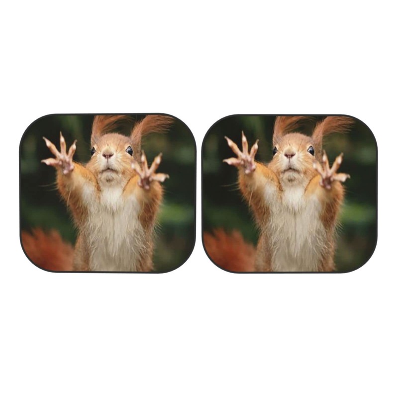 KiuLoam Squirrel Funny Animal Meets Car Windshield Sun Shade, 2-Piece