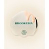 brookesia23 시그니처 스파츌라 Brookesia23 Signature Spatula