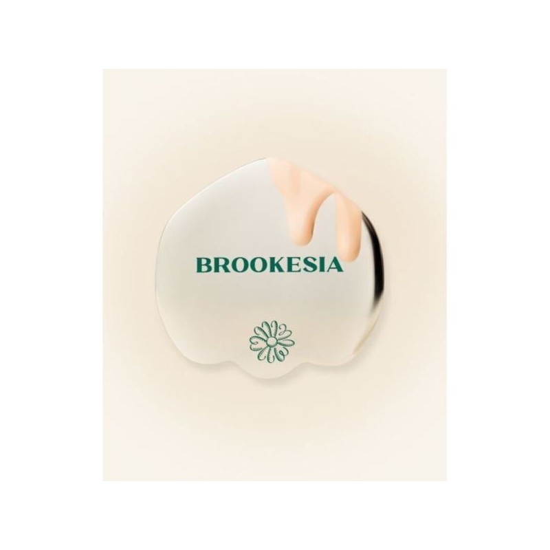 brookesia23 시그니처 스파츌라 Brookesia23 Signature Spatula