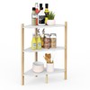 Wisuce Kitchen Counter Shelf Organizer - 3 Tier Spice Rack