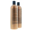 Bed Head Shampoo and Conditioner, Color Goddess, 25.36 Fl Oz