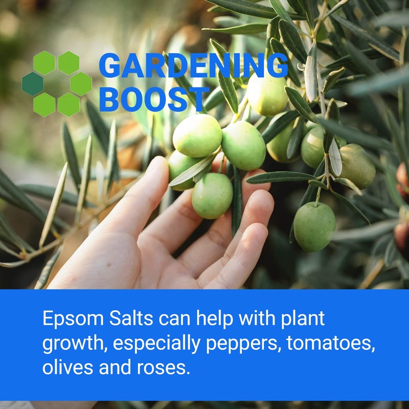 Hexeal Epsom Salt | 1kg Bucket | Food Grade |