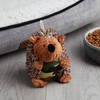 Vibrant Life Cozy Buddy Hedgehog Dog Toy Durable Plush Hedgehog
