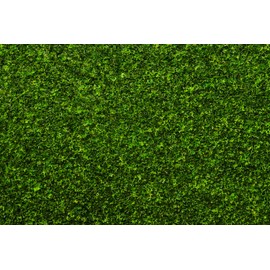 Bachmann Industries 32903 Grass Mat - Meadow - for Use with All Scales Grass Mat, 100" x 50", Meadow Green