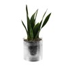 WGVI Silver Etched Ceramic Cylinder Vase Width 5.5" Height 5",