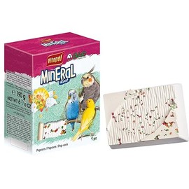 A and E Medium Octagon Bird Cage Sand