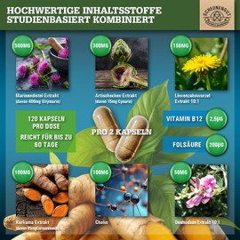 Scheunengut LEBER INTENSO+® Leber Kapseln Hochdosiert - WICHTIG: Laborgeprüft mit Cholin, Mariendistel, Artischocke, Löwenzahn, Desmodium PLUS 80% Silymarin und 5% Cynarin -DE- SCHEUNENGUT®