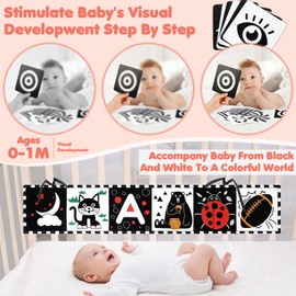 High Contrast Baby Toys for Newborn - Black and White Infant Newborn Sensory Toys 10 PCS - Rattle Teether Tummy Time for 0 3 6 Months, 0-12 Month Old Must Haves