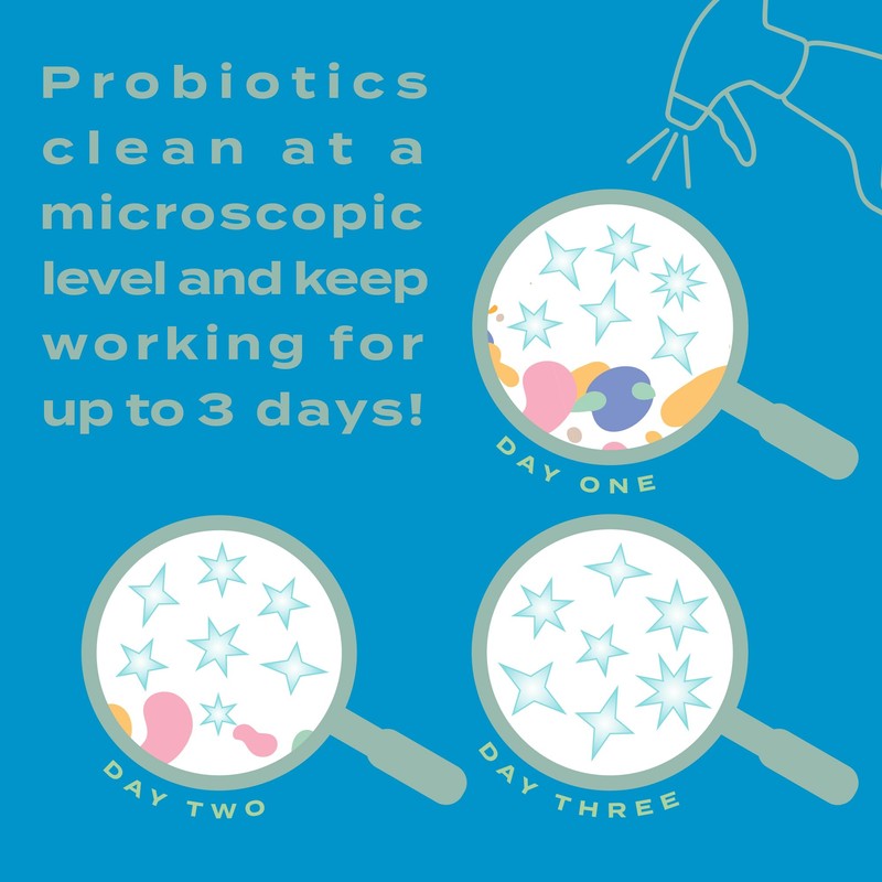 Lively Multi-Purpose Cleaner Bundle (2 Pack), Fragrance-Free, Biodegradable Formula