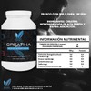 Creatina Monohidratada Alta Pureza y Alta absorción con 500 g