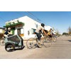 Burley Pet Trailer Pouch for Dog Bike Trailer, Midnight Marionberry,
