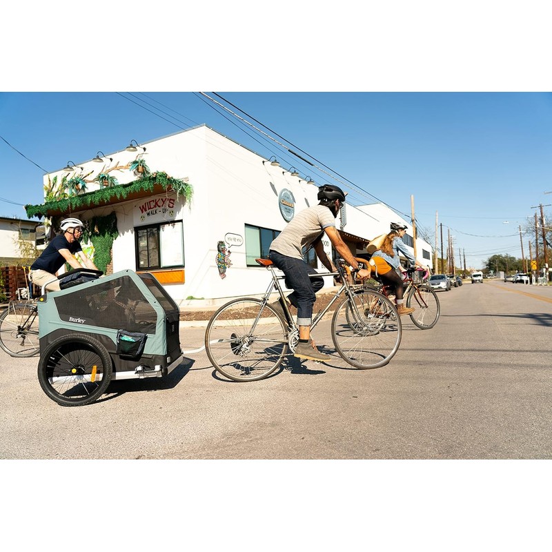 Burley Pet Trailer Pouch for Dog Bike Trailer, Midnight Marionberry,
