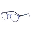 NORPERWIS 5 Pairs Reading Glasses - Standard Fit Spring Hinge