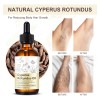 Sérum Inhibidor Capilar Daisans Cyperus Rotundus Oil 60 Ml