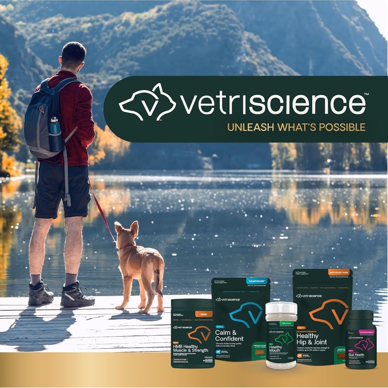 VetriScience Extra Strength Gut Health Easy-Open Capsules, Mega Probiotic and