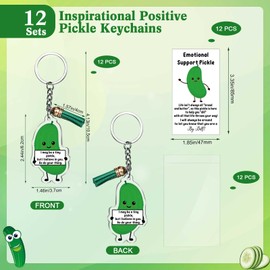 Siifert Emotional Support Keychain Bulk with Tassel Dietitian Gift Appreciation Gift Acrylic Potato Pickle Taco Vegetable(Pickle, 12 Set)