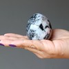 Satin Crystals Moonstone Tourmaline Egg New Beginnings Black White 2.25-2.5