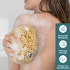 Natural Sponges with Cord & Glass Pendant - Unbleached Mediterranean