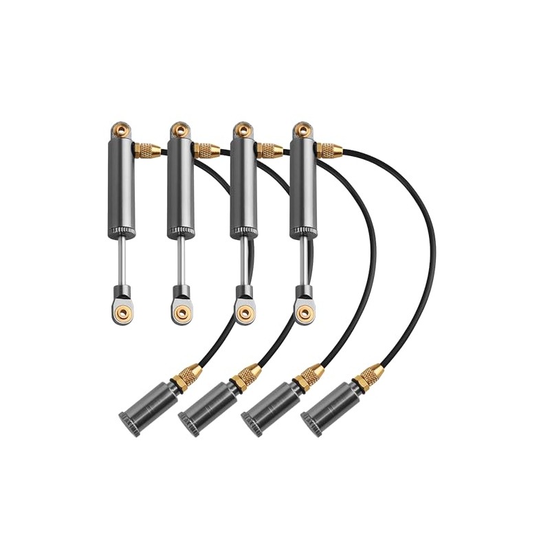 ZIJOT 63mm Desert Lizard Piggyback Internal Spring RC Shock Absorber
