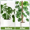 Supoice Moss Pole 63 Inch Moss pole Monstera Plant Support
