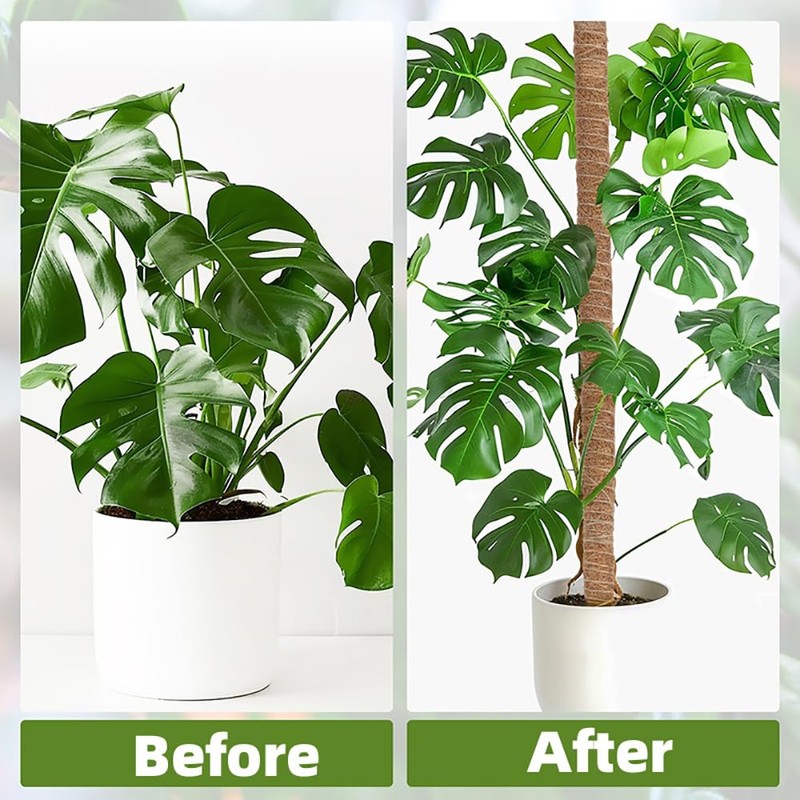 Supoice Moss Pole 63 Inch Moss pole Monstera Plant Support