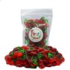 FirstChoiceCandy Gummy Fruit Candy (Happy Twin Cherry, 2 Pound)