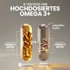 Omega 3+ High Dose 2000 mg Fish Oil Capsules -