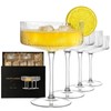 4 Pcs Coupe Glasses, Hand Blown 10 oz Cocktail Glasses,