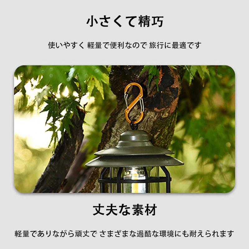 [HEYANQI] カラビナ 8字 S字型 アルミニウム合金 超軽量 キーホルダー 多機能 ニウム耐久性 生活雑貨