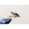 Fly Shop Complete Fly Set SD Selection Wet Flies SP12